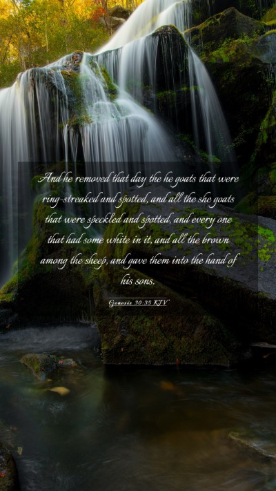 Picture 03 - Genesis 30:35 KJV Mobile Phone Wallpaper - And he removed that day the he goats that were - Mobile Bible Verse Wallpaper