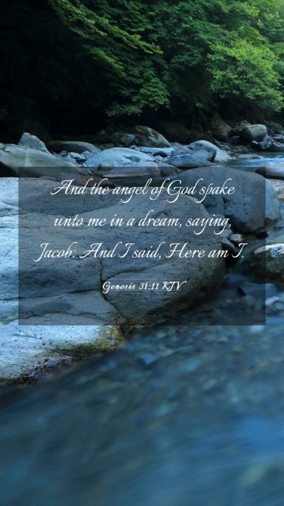 Picture 03 - Genesis 31:11 KJV Mobile Phone Wallpaper - And the angel of God spake unto me in a dream, - Mobile Bible Verse Wallpaper