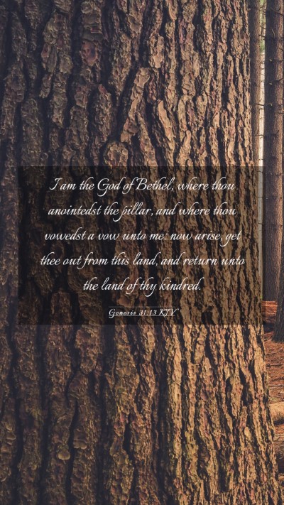 Picture 03 - Genesis 31:13 KJV Mobile Phone Wallpaper - I am the God of Bethel, where thou anointedst the - Mobile Bible Verse Wallpaper