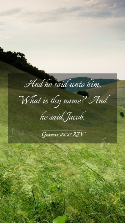 Picture 03 - Genesis 32:27 KJV Mobile Phone Wallpaper - And he said unto him, What is thy name? And he - Mobile Bible Verse Wallpaper