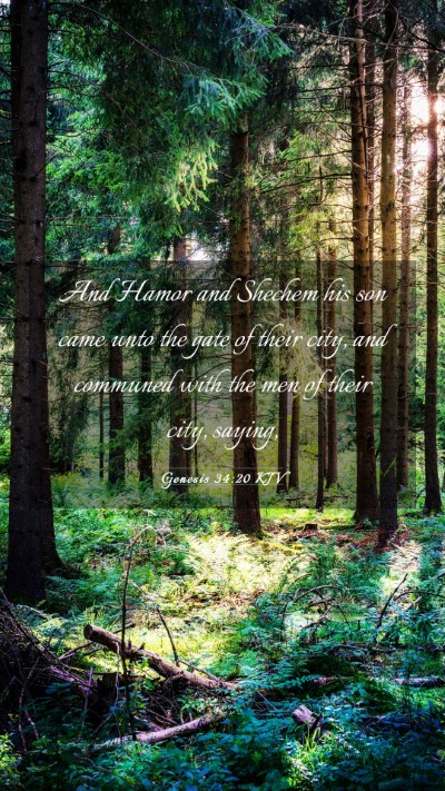 Picture 03 - Genesis 34:20 KJV Mobile Phone Wallpaper - And Hamor and Shechem his son came unto the gate - Mobile Bible Verse Wallpaper