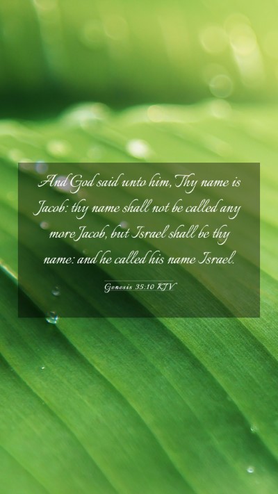 Picture 03 - Genesis 35:10 KJV Mobile Phone Wallpaper - And God said unto him, Thy name is Jacob: thy - Mobile Bible Verse Wallpaper