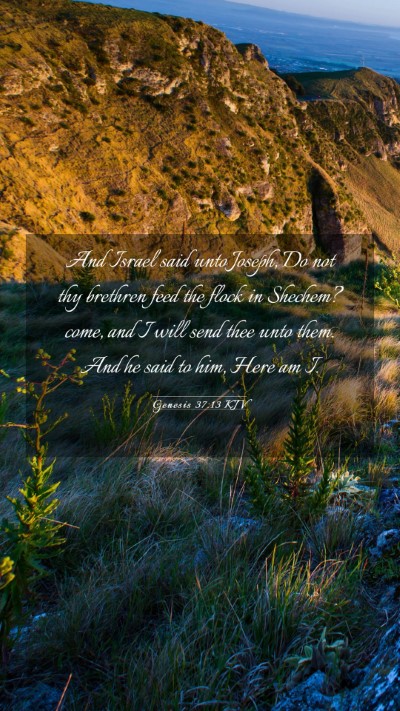 Picture 03 - Genesis 37:13 KJV Mobile Phone Wallpaper - And Israel said unto Joseph, Do not thy brethren - Mobile Bible Verse Wallpaper