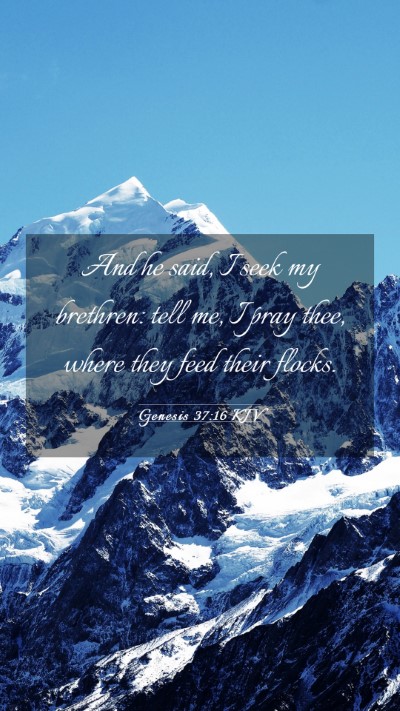 Picture 03 - Genesis 37:16 KJV Mobile Phone Wallpaper - And he said, I seek my brethren: tell me, I pray - Mobile Bible Verse Wallpaper