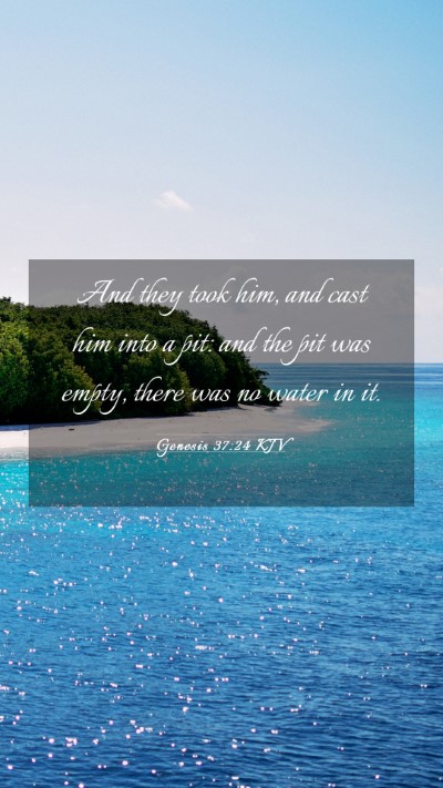 Picture 03 - Genesis 37:24 KJV Mobile Phone Wallpaper - And they took him, and cast him into a pit: and - Mobile Bible Verse Wallpaper