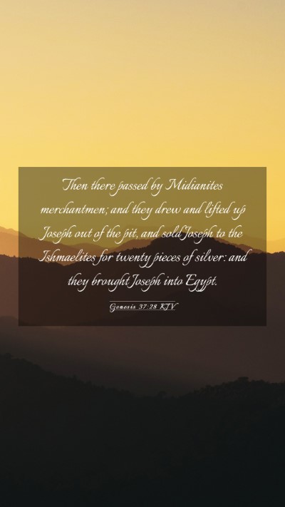 Picture 03 - Genesis 37:28 KJV Mobile Phone Wallpaper - Then there passed by Midianites merchantmen; and - Mobile Bible Verse Wallpaper