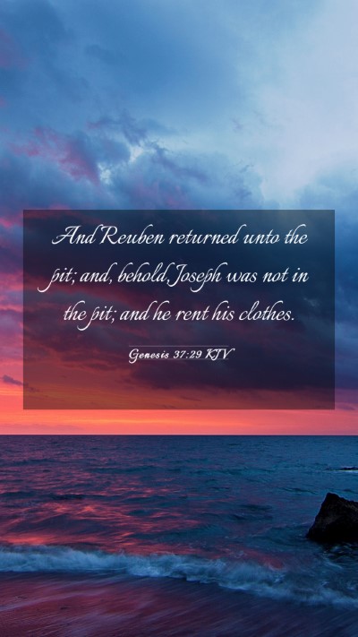 Picture 03 - Genesis 37:29 KJV Mobile Phone Wallpaper - And Reuben returned unto the pit; and, behold, - Mobile Bible Verse Wallpaper