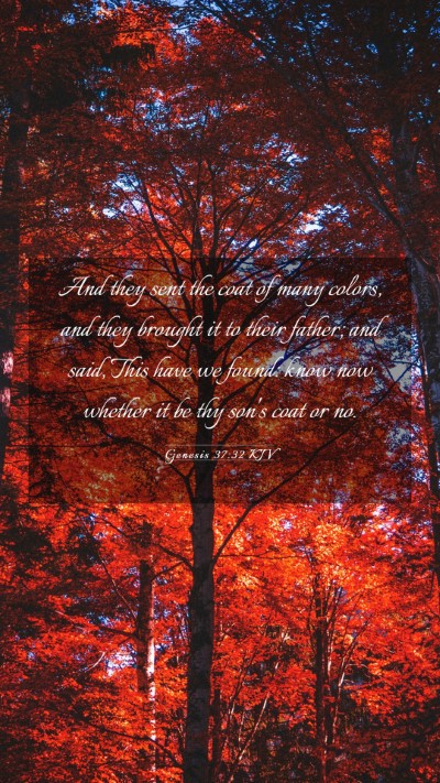 Picture 03 - Genesis 37:32 KJV Mobile Phone Wallpaper - And they sent the coat of many colors, and they - Mobile Bible Verse Wallpaper