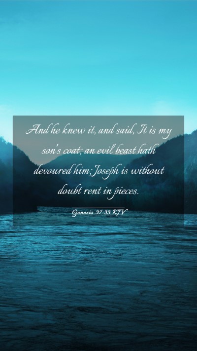 Picture 03 - Genesis 37:33 KJV Mobile Phone Wallpaper - And he knew it, and said, It is my son's coat; an - Mobile Bible Verse Wallpaper