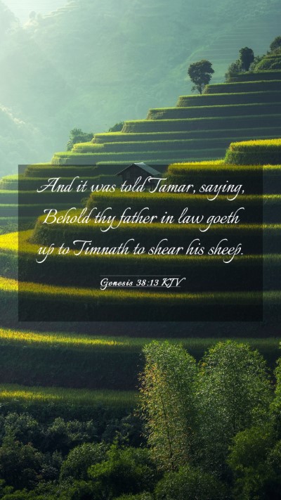 Picture 03 - Genesis 38:13 KJV Mobile Phone Wallpaper - And it was told Tamar, saying, Behold thy father - Mobile Bible Verse Wallpaper