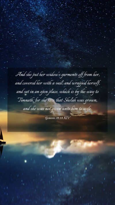 Picture 03 - Genesis 38:14 KJV Mobile Phone Wallpaper - And she put her widow's garments off from her, - Mobile Bible Verse Wallpaper