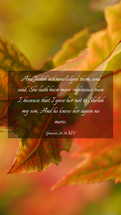 Picture 03 - Genesis 38:26 KJV Mobile Phone Wallpaper - And Judah acknowledged them, and said, She hath - Mobile Bible Verse Wallpaper