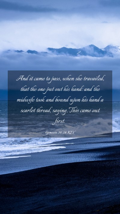 Picture 03 - Genesis 38:28 KJV Mobile Phone Wallpaper - And it came to pass, when she travailed, that the - Mobile Bible Verse Wallpaper