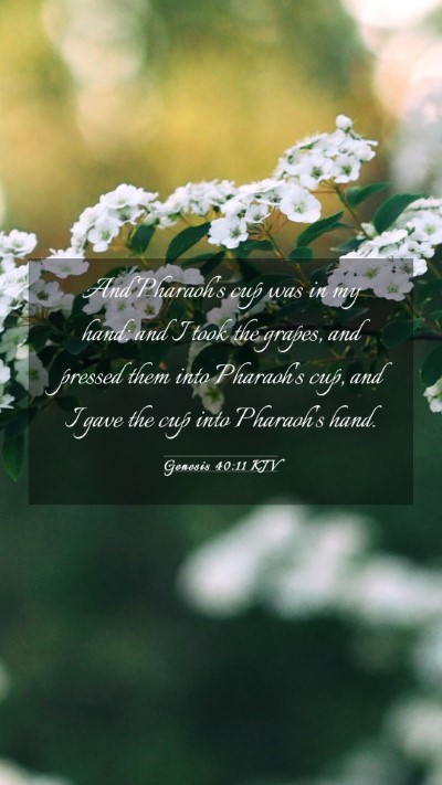 Picture 03 - Genesis 40:11 KJV Mobile Phone Wallpaper - And Pharaoh's cup was in my hand: and I took the - Mobile Bible Verse Wallpaper