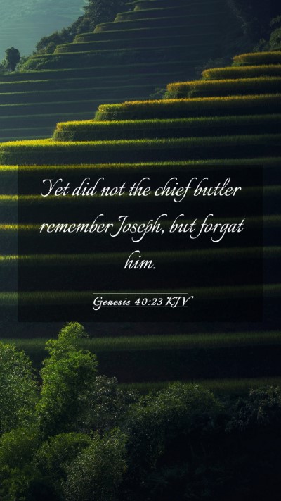 Picture 03 - Genesis 40:23 KJV Mobile Phone Wallpaper - Yet did not the chief butler remember Joseph, but - Mobile Bible Verse Wallpaper