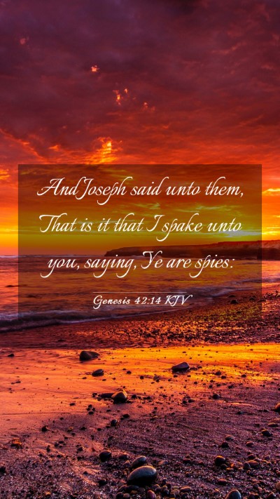 Picture 03 - Genesis 42:14 KJV Mobile Phone Wallpaper - And Joseph said unto them, That is it that I - Mobile Bible Verse Wallpaper