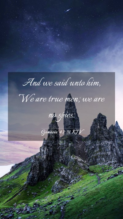 Picture 03 - Genesis 42:31 KJV Mobile Phone Wallpaper - And we said unto him, We are true men; we are no - Mobile Bible Verse Wallpaper