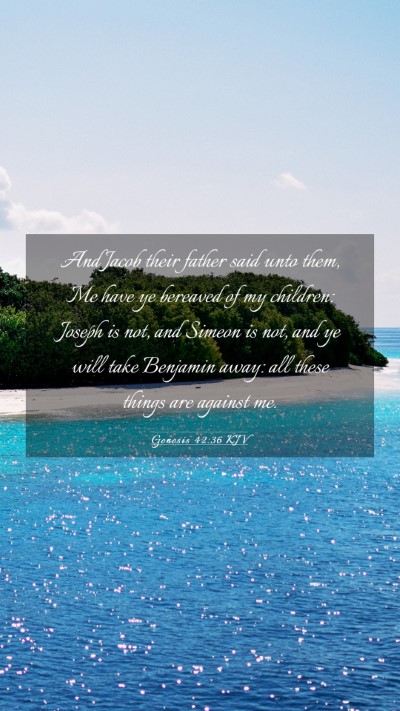 Picture 03 - Genesis 42:36 KJV Mobile Phone Wallpaper - And Jacob their father said unto them, Me have ye - Mobile Bible Verse Wallpaper