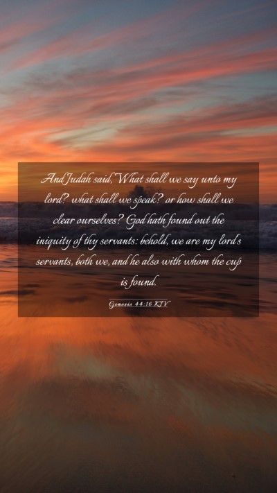 Picture 03 - Genesis 44:16 KJV Mobile Phone Wallpaper - And Judah said, What shall we say unto my lord? - Mobile Bible Verse Wallpaper