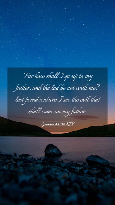 Picture 03 - Genesis 44:34 KJV Mobile Phone Wallpaper - For how shall I go up to my father, and the lad - Mobile Bible Verse Wallpaper