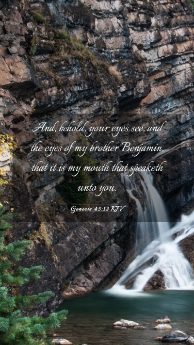 Picture 03 - Genesis 45:12 KJV Mobile Phone Wallpaper - And, behold, your eyes see, and the eyes of my - Mobile Bible Verse Wallpaper