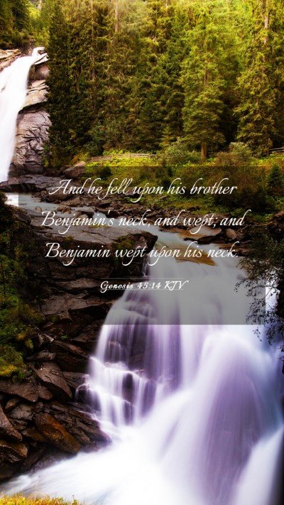 Picture 03 - Genesis 45:14 KJV Mobile Phone Wallpaper - And he fell upon his brother Benjamin's neck, and - Mobile Bible Verse Wallpaper