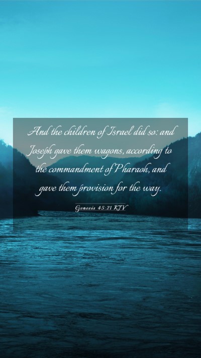 Picture 03 - Genesis 45:21 KJV Mobile Phone Wallpaper - And the children of Israel did so: and Joseph - Mobile Bible Verse Wallpaper