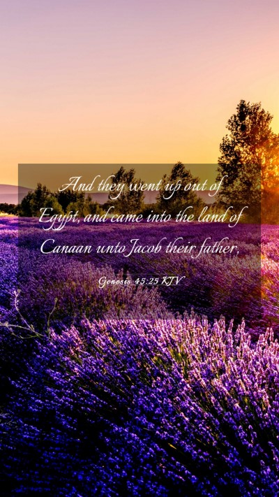 Picture 03 - Genesis 45:25 KJV Mobile Phone Wallpaper - And they went up out of Egypt, and came into the - Mobile Bible Verse Wallpaper
