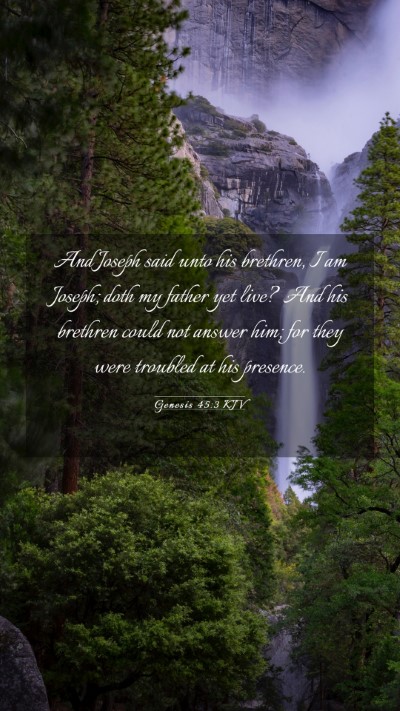 Picture 03 - Genesis 45:3 KJV Mobile Phone Wallpaper - And Joseph said unto his brethren, I am Joseph; - Mobile Bible Verse Wallpaper