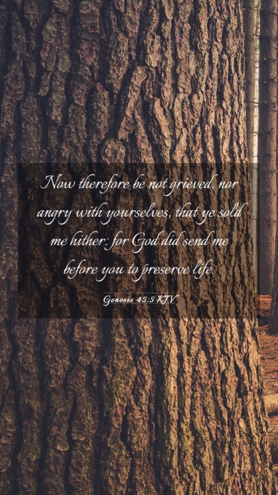 Picture 03 - Genesis 45:5 KJV Mobile Phone Wallpaper - Now therefore be not grieved, nor angry with - Mobile Bible Verse Wallpaper
