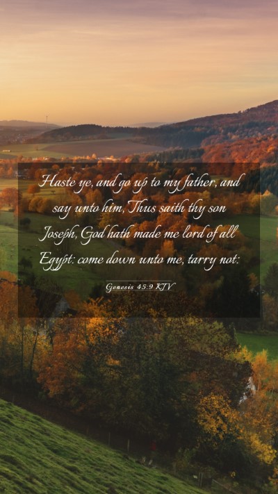 Picture 03 - Genesis 45:9 KJV Mobile Phone Wallpaper - Haste ye, and go up to my father, and say unto - Mobile Bible Verse Wallpaper