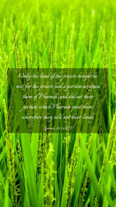 Picture 03 - Genesis 47:22 KJV Mobile Phone Wallpaper - Only the land of the priests bought he not; for - Mobile Bible Verse Wallpaper