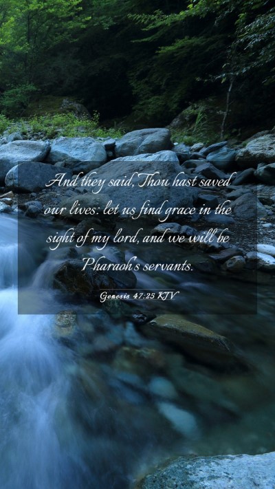 Picture 03 - Genesis 47:25 KJV Mobile Phone Wallpaper - And they said, Thou hast saved our lives: let us - Mobile Bible Verse Wallpaper
