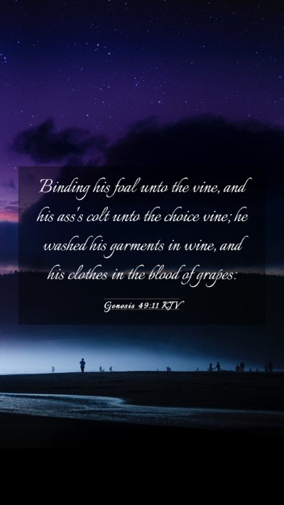 Picture 03 - Genesis 49:11 KJV Mobile Phone Wallpaper - Binding his foal unto the vine, and his ass's - Mobile Bible Verse Wallpaper