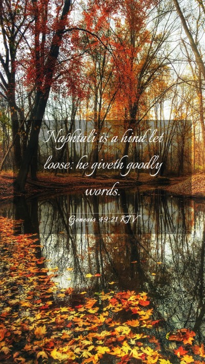 Picture 03 - Genesis 49:21 KJV Mobile Phone Wallpaper - Naphtali is a hind let loose: he giveth goodly - Mobile Bible Verse Wallpaper