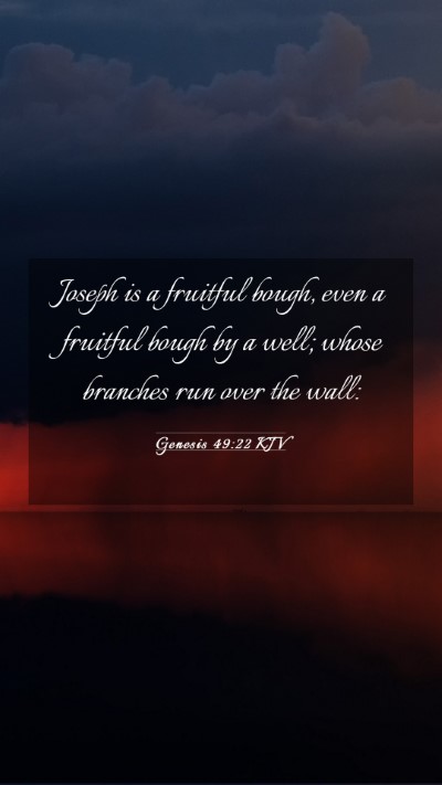 Picture 03 - Genesis 49:22 KJV Mobile Phone Wallpaper - Joseph is a fruitful bough, even a fruitful bough - Mobile Bible Verse Wallpaper