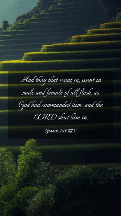 Picture 03 - Genesis 7:16 KJV Mobile Phone Wallpaper - And they that went in, went in male and female of - Mobile Bible Verse Wallpaper