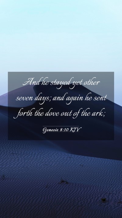 Picture 03 - Genesis 8:10 KJV Mobile Phone Wallpaper - And he stayed yet other seven days; and again he - Mobile Bible Verse Wallpaper