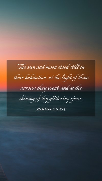 Picture 03 - Habakkuk 3:11 KJV Mobile Phone Wallpaper - The sun and moon stood still in their habitation: - Mobile Bible Verse Wallpaper