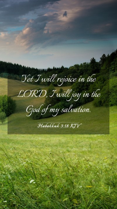 Picture 03 - Habakkuk 3:18 KJV Mobile Phone Wallpaper - Yet I will rejoice in the LORD, I will joy in the - Mobile Bible Verse Wallpaper