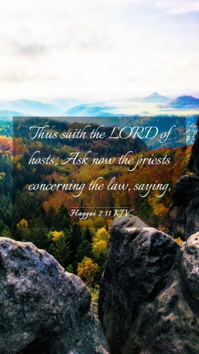 Picture 03 - Haggai 2:11 KJV Mobile Phone Wallpaper - Thus saith the LORD of hosts; Ask now the priests - Mobile Bible Verse Wallpaper