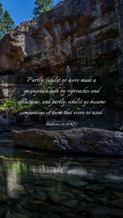 Picture 03 - Hebrews 10:33 KJV Mobile Phone Wallpaper - Partly, whilst ye were made a gazingstock both by - Mobile Bible Verse Wallpaper