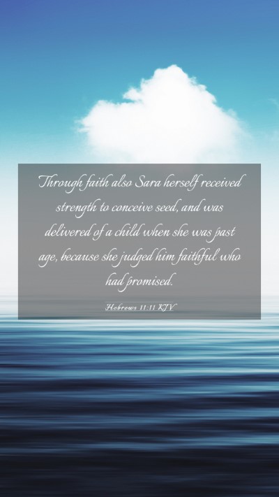 Picture 03 - Hebrews 11:11 KJV Mobile Phone Wallpaper - Through faith also Sara herself received strength - Mobile Bible Verse Wallpaper