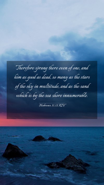 Picture 03 - Hebrews 11:12 KJV Mobile Phone Wallpaper - Therefore sprang there even of one, and him as - Mobile Bible Verse Wallpaper