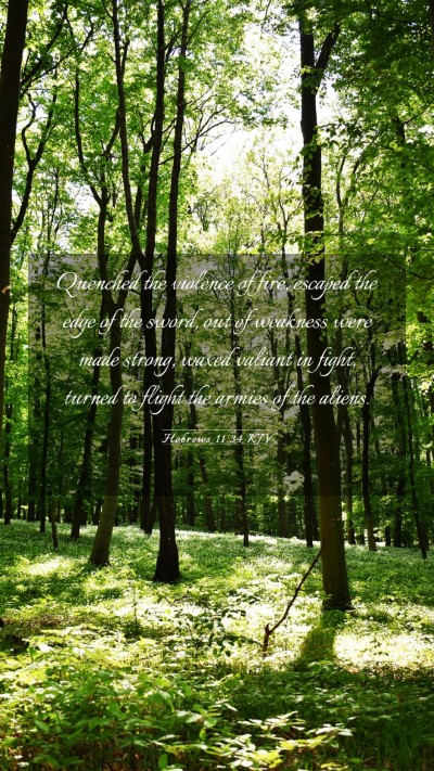 Picture 03 - Hebrews 11:34 KJV Mobile Phone Wallpaper - Quenched the violence of fire, escaped the edge - Mobile Bible Verse Wallpaper