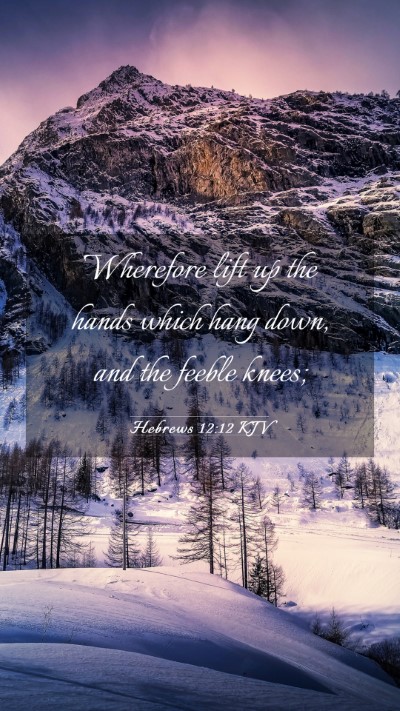 Picture 03 - Hebrews 12:12 KJV Mobile Phone Wallpaper - Wherefore lift up the hands which hang down, and - Mobile Bible Verse Wallpaper