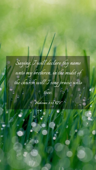 Picture 03 - Hebrews 2:12 KJV Mobile Phone Wallpaper - Saying, I will declare thy name unto my brethren, - Mobile Bible Verse Wallpaper