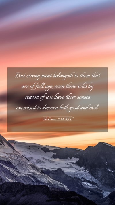 Picture 03 - Hebrews 5:14 KJV Mobile Phone Wallpaper - But strong meat belongeth to them that are of - Mobile Bible Verse Wallpaper