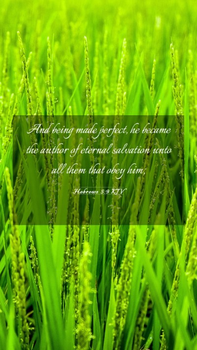 Picture 03 - Hebrews 5:9 KJV Mobile Phone Wallpaper - And being made perfect, he became the author of - Mobile Bible Verse Wallpaper