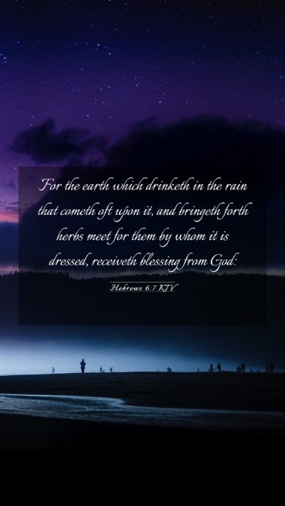 Picture 03 - Hebrews 6:7 KJV Mobile Phone Wallpaper - For the earth which drinketh in the rain that - Mobile Bible Verse Wallpaper